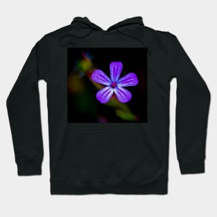 Wild Purple Hoodie